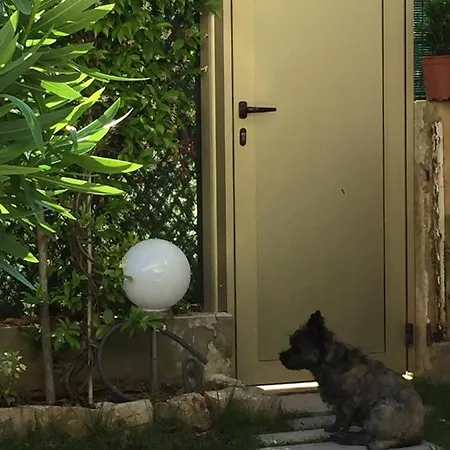 Apartmán Croisette &palm Beach,parking Cannes