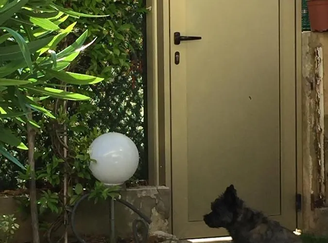 Apartament Croisette &palm Beach,parking Cannes